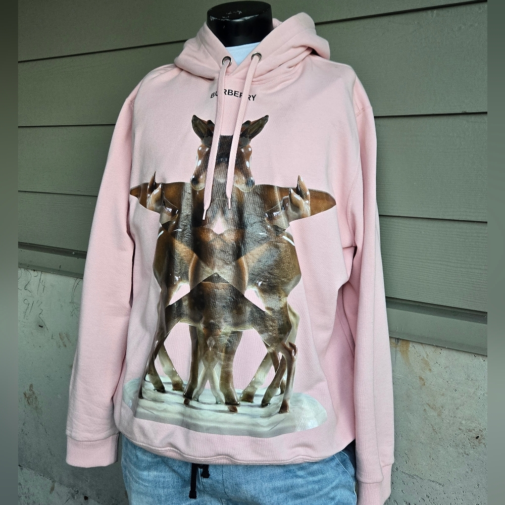 Burberry Eversham Graphic Hoodie